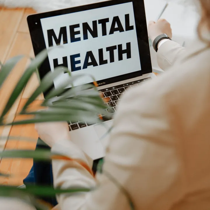 Persona consultando recursos de salud mental en un portátil